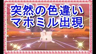 スボミー ポケットモンスター ダルマッカ エムリット ゼルネアス