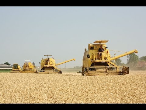 Landb. Debode - Lendelede - Clayson M 135 - Clayson M 140 - Clayson 1545 - Clayson 1550