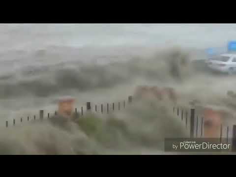 Tsunami devastador Tragedia natural