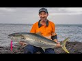 BIG Kingfish Land Based In Tasmania