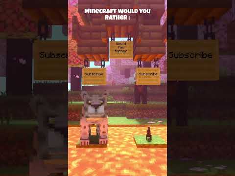 EPIC Minecraft Leopard vs Squirrel Showdown!