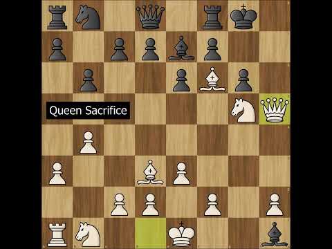 Do Not Wrestle With The Orangutan