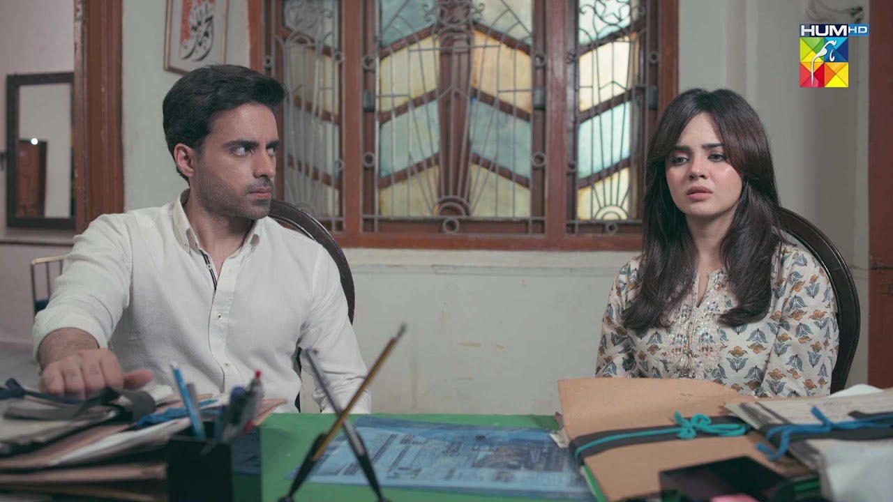 Zarnaab Ko Insaaf Kahan Se Milay Ga..? #goonj - HUM TV