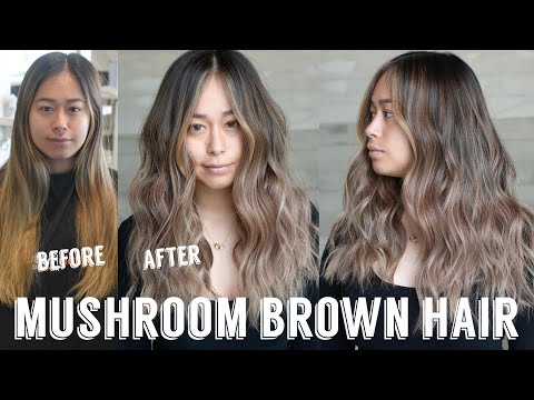 Perfect Mushroom Brown Balayage | Soft Natural Hair Transformation