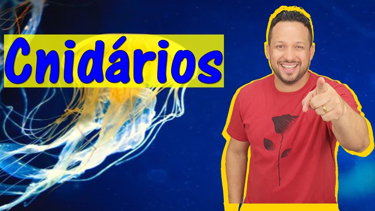 Cnidários - Características Gerais - Filo Cnidaria - Invertebrados - Zoologia