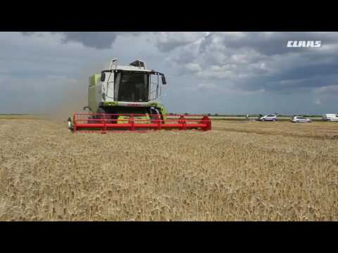 CLAAS In Campo 2016 - LX 620 T4i Lombardi FG