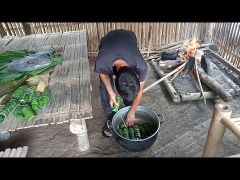 Naredite močvirje v poljski riž, Začni življenje, 49. epizoda