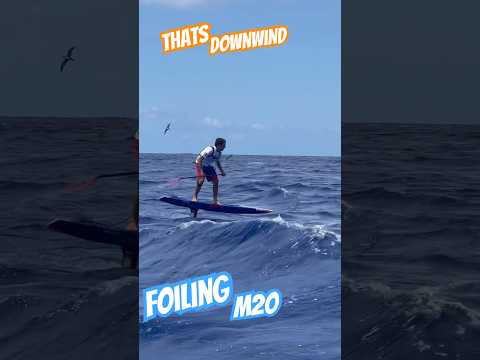Downwind foiling to the maximum. 2023 Kaiwi channel with the M2O #supfoil  #m2o