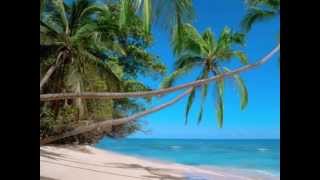 Island In The Sun ( Harry Belafonte)