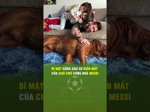 BÍ MẬT ĐẰNG SAU SỰ BIẾN MẤT CỦA CHÚ CHÓ CƯNG NHÀ MESSI