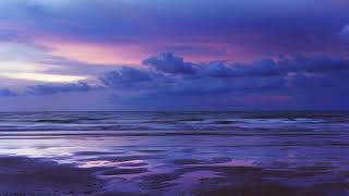 The Harold Song - Ke$ha (Lyric Video)