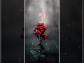 Old Phool Gulab Ka Whatsapp Status Song Aadarsh Creation