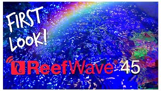 Red Sea reefWAVE 45 - First Look!