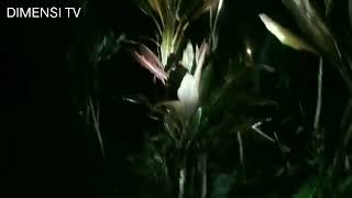 Download lagu MAKAM TUA INI ANGKER BANGET mp3