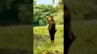 Crocodile Attack Woman @muhammadnaveed5761