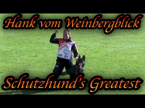 Schutzhunds Greatest Dogs *Hank von Weinbergblick*
