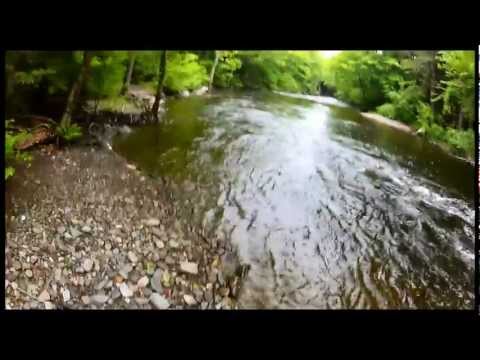 download lagu mp3 mp4 Rainbow Rope Swing, download lagu Rainbow Rope Swing gratis, unduh video klip Rainbow Rope Swing