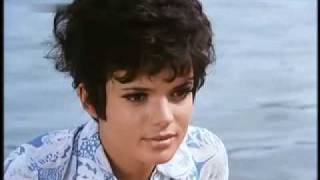 Roy Black - Nur du 1969