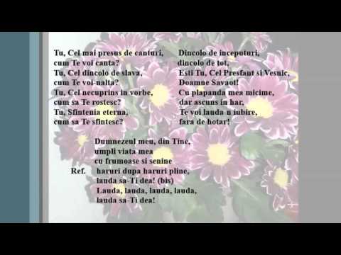 Tu cel mai presus de canturi... N.Moldoveanu
