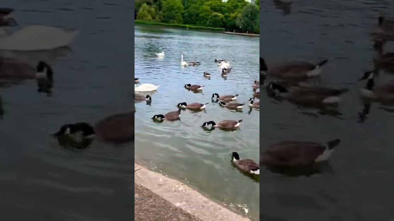 YouTube Short thumbnail