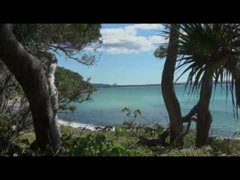 6.  Summertime in Noosa   The Fly Project