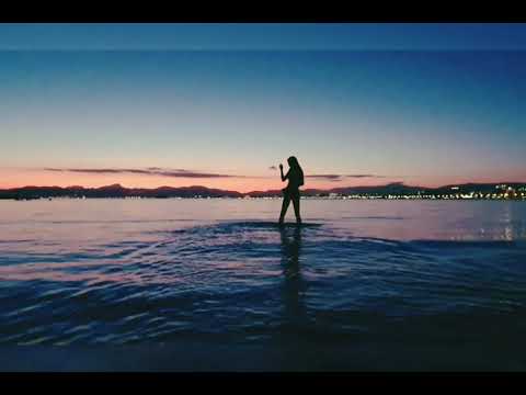 EL PA$O 089 - UM DIE WELT 🌍 (PROD. SR BEATS) OFFIZIELLER VISUALIZER