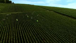 La Champagne et le Champagne