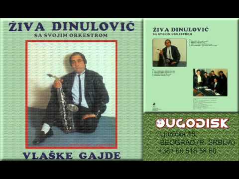 Ziva Dinulovic sa ork - Vatrogasno kolo - (Audio 1987)