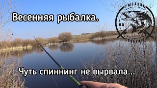 Липки платная рыбалка походный проезд маршрут