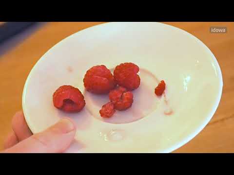 Verführung in Pink: Der Clover Club (Cocktail Rezept)