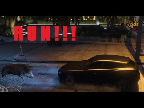 [HOMESTATE] Wildschweine