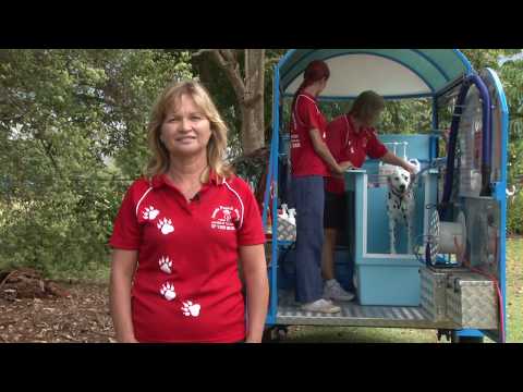 Mobile dog wash franchise