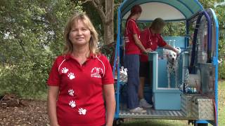Mobile dog wash franchise