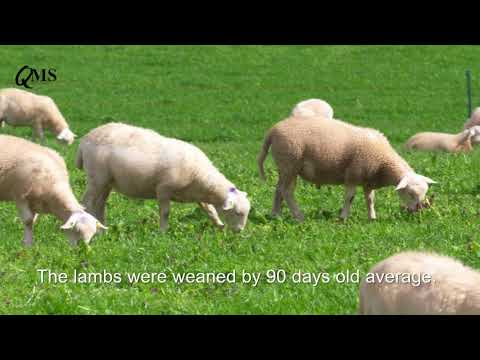 Behind the Scenes at Bankhouse!