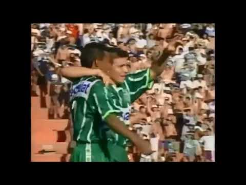1996 Verdão Campeão Paulista. Super Ataque de 102 Gols.