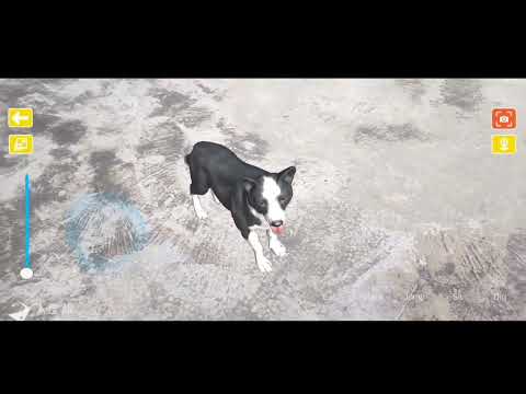 Puppy Run AR: Dog Platformer