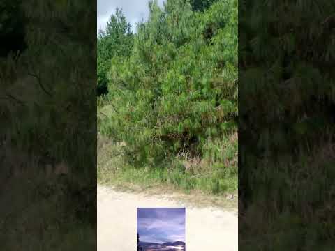 el paisaje de Siachoque boyaca #viralshort #shorts #paisajesextremos #naturaleza