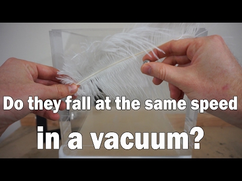 If You Drop A Feather And A Metal Cube In A Vacuum Chamber Will They Hit At The Same Time? Video