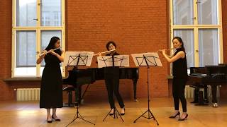 Kaspar Kummer - Trio for 3 flutes in G Major op. 24 (Flute East Trio)