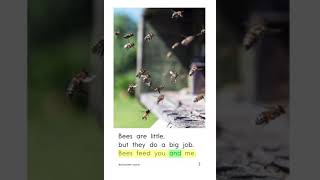 Bees are Little