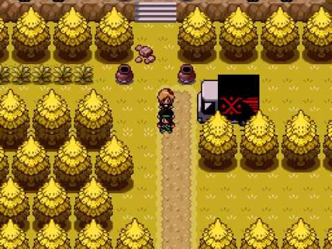 Pokémon Rejuvenation: Part 5 - Getting educated.