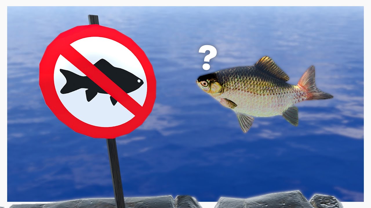 We Found Another AWESOME Fish Game On Steam...