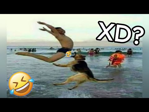 SI TE RIES PIERDES #46 🤣 [997,99% IMPOSIBLE]☠️🔥 VIDEOS DE RISA 2025 😂😎 TRY NOT TO LAUGH