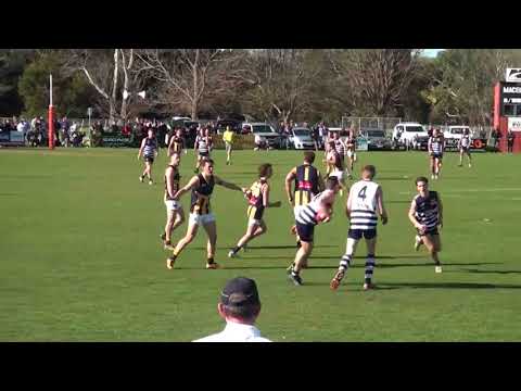 2017 RDFL Grand Final Highlights