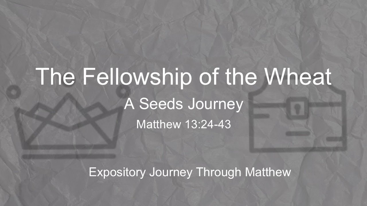 The Fellowship of the Wheat: A Seed's Journey