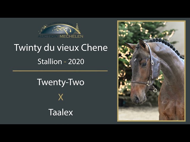 Twinty Du Vieux Chene