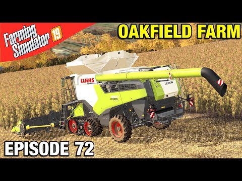NEW LEXION IN SUNFLOWERS Farming Simulator 19 Timelapse - Oakfield Farm Seasons FS19 Episode 72
