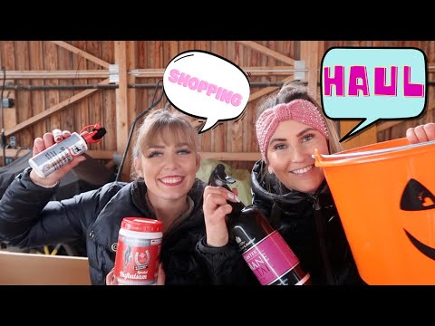 Pferde Equiva Haul mit Lisa