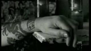 Timoria - Sangue Impazzito