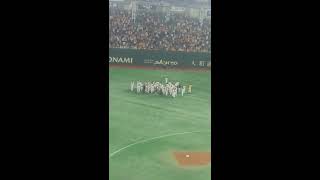 日本シリーズ2019Sh記念撮影のさなかＧナインの阿部慎之助選手の胴上げ【実況ミラクル日本シリーズ】